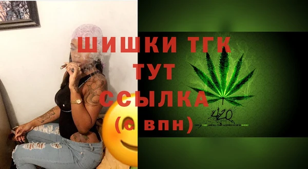 кристаллы Инта